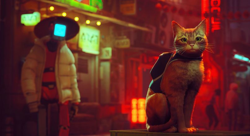 What Is The Popular Cat Game In 2023?